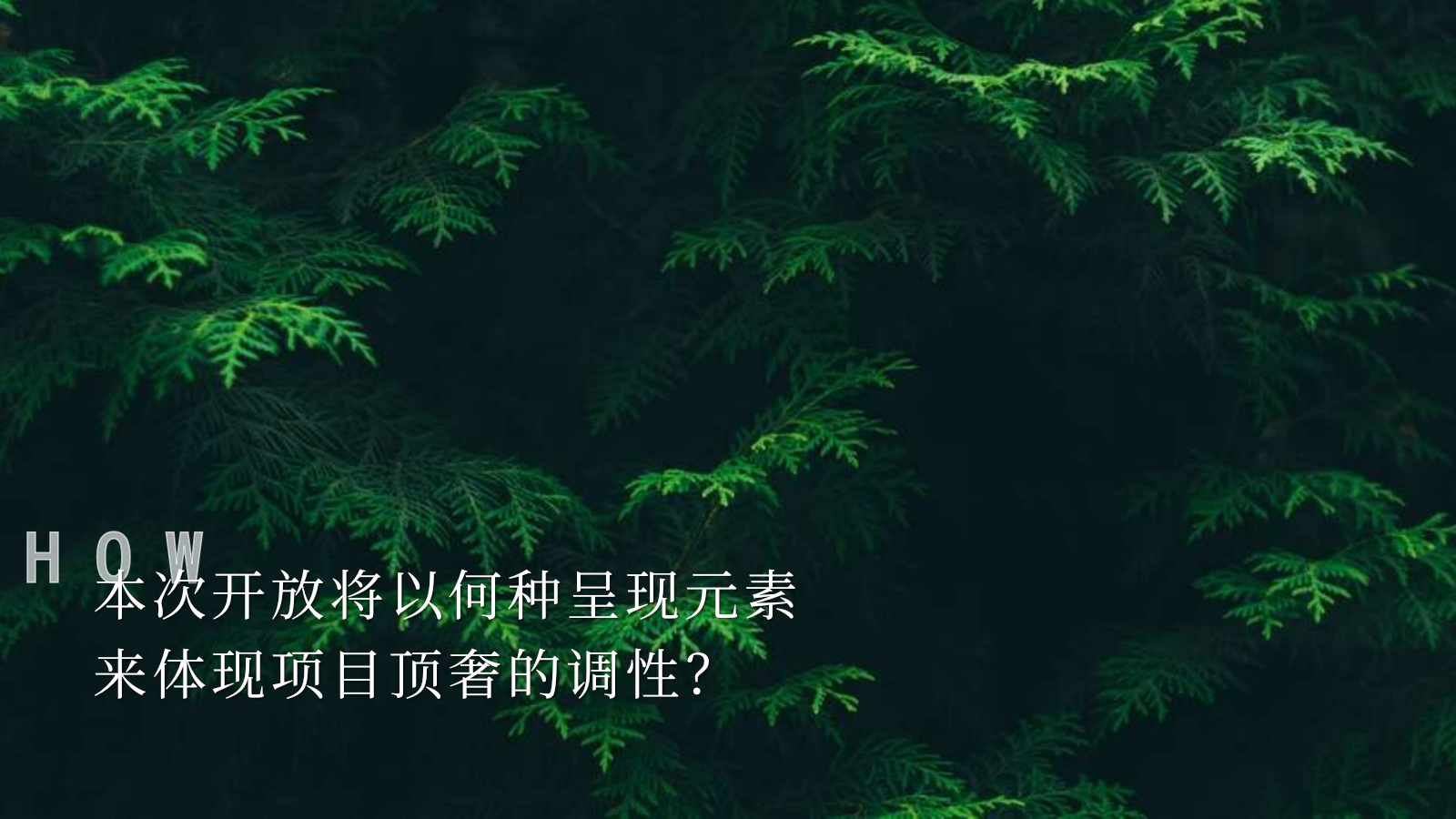 地产项目示范区开放策划方案.pptx_第4页