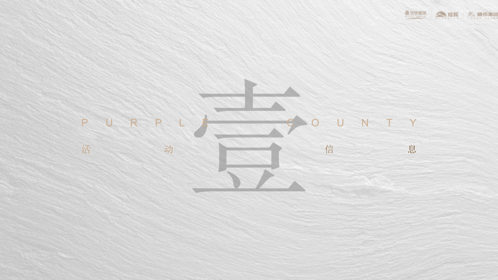 地产项目展厅开放（天赋大美·藏境湖居主题）活动策划方案.pptx_第5页