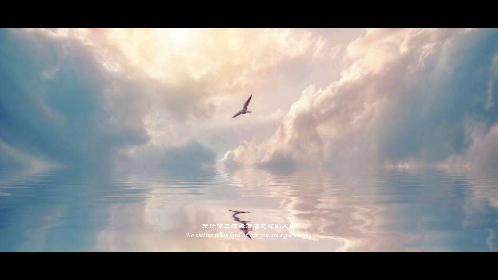 地产项目展厅开放暨「做你自己的人生导演」摄影艺术展活动策划方案-70页.pptx_第3页