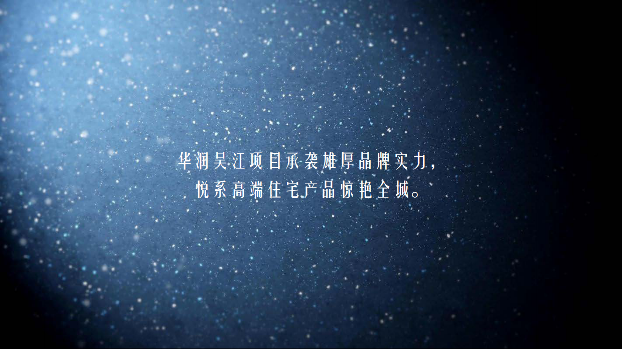 华润悦府示范区公开活动策划方案.pdf_第4页