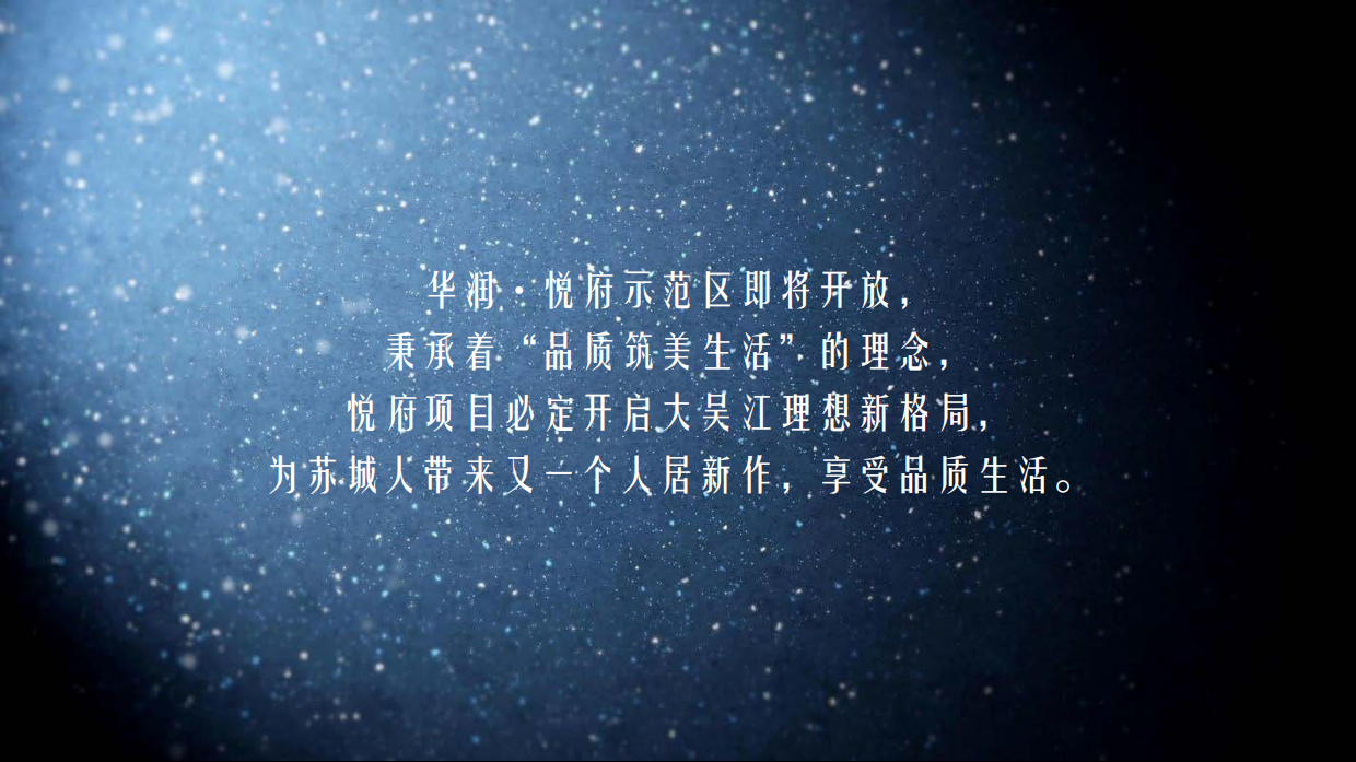 华润悦府示范区公开活动策划方案.pdf_第5页