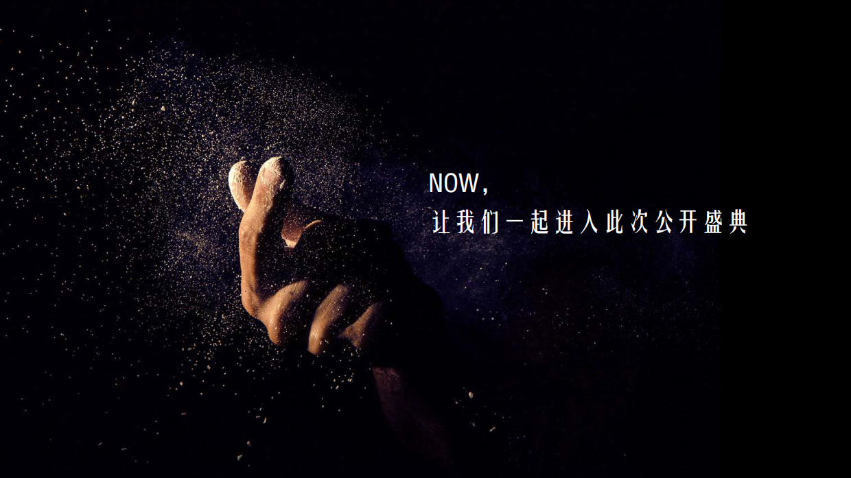 华润悦府示范区公开活动策划方案.pdf_第8页