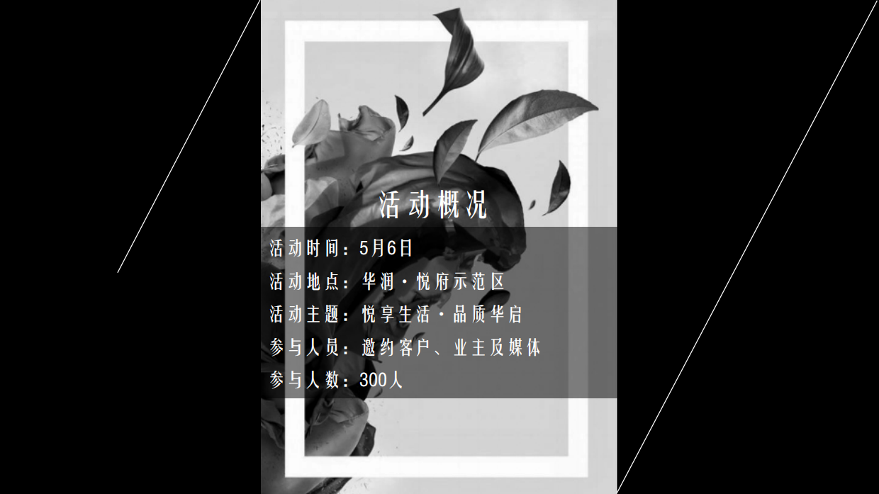 华润悦府示范区公开活动策划方案.pdf_第9页