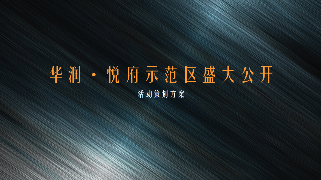华润悦府示范区公开活动策划方案.pdf