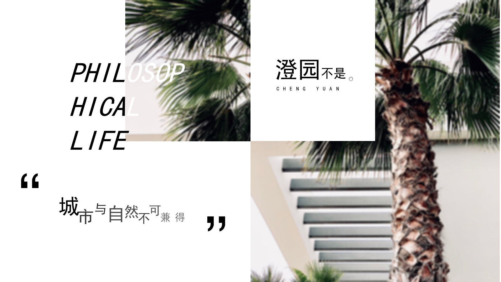 开放&接房活动.pptx_第3页