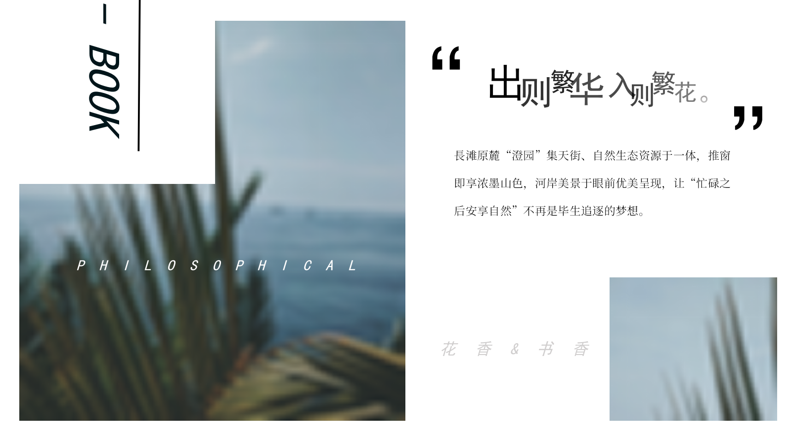 开放&接房活动.pptx_第4页