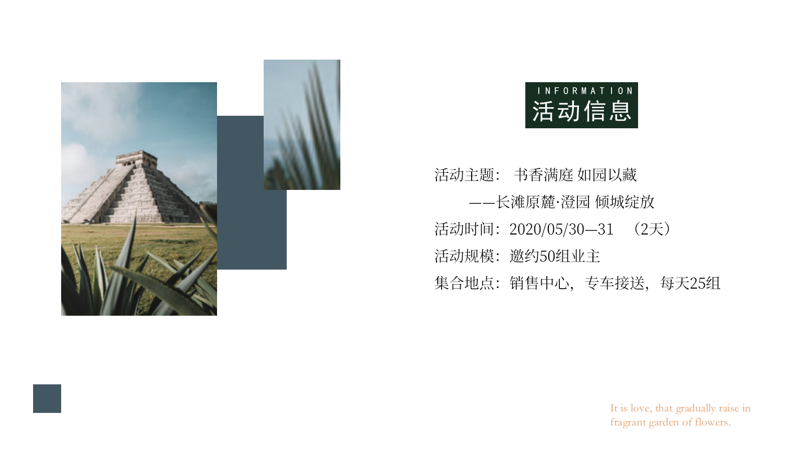 开放&接房活动.pptx_第9页