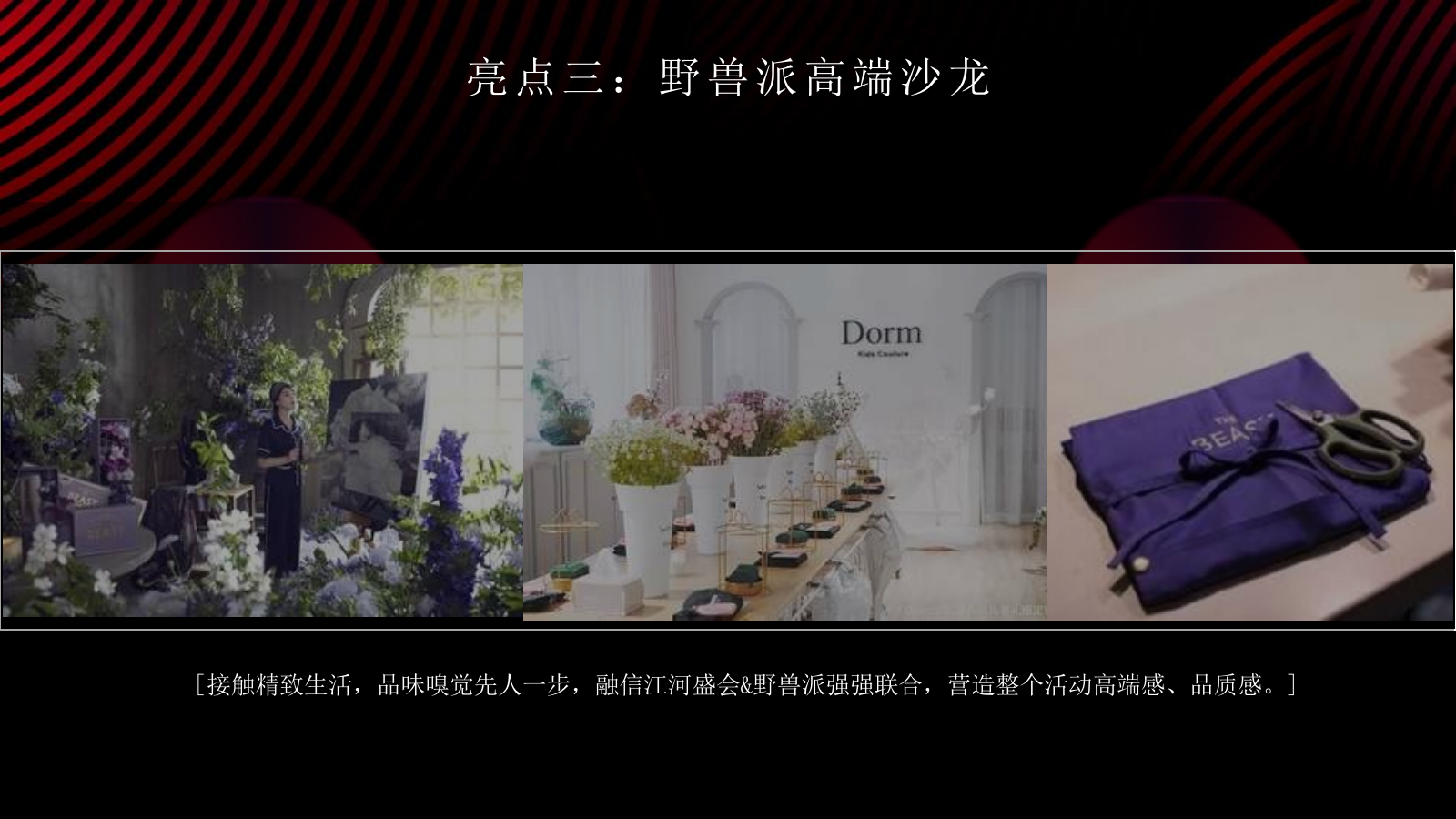 2021地产项目示范区开放（让时代高光聚首主题）活动策划方案-49P.pptx_第10页