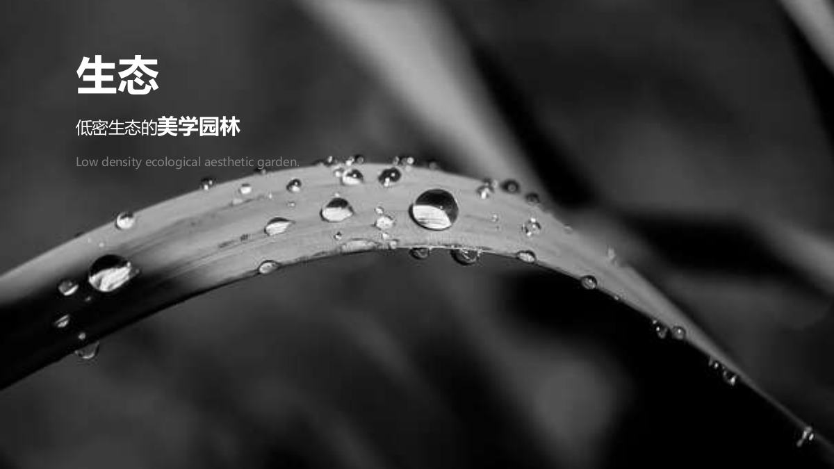 2021地产项目展厅开放（美的探寻主题）活动策划方案-43P.pptx_第7页