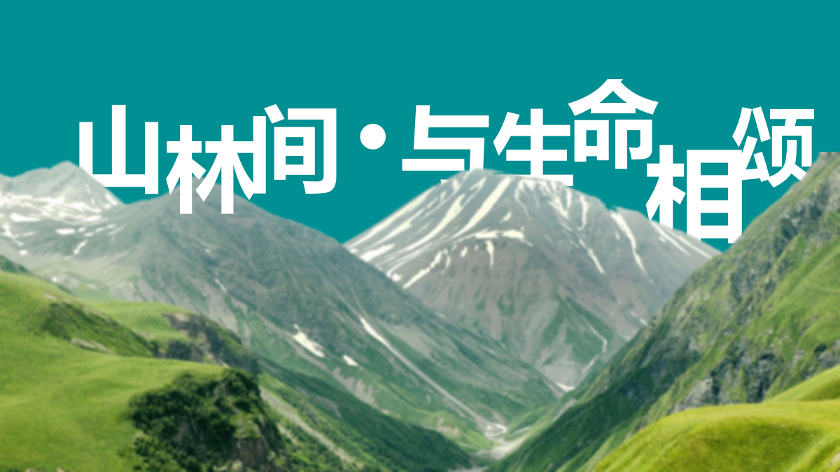2021地产项目展厅中心开放（山林间·与生命相颂主题）活动策划意向方案-56P.pptx_第4页