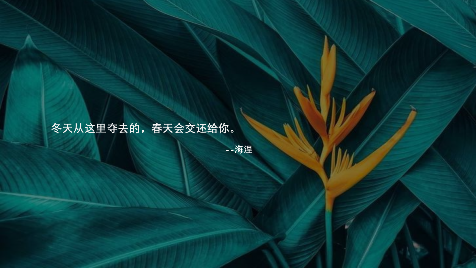 2022地产项目美好城市生活初体验（焕新城市·美好如期主题）活动策划方案-61P.pptx_第3页