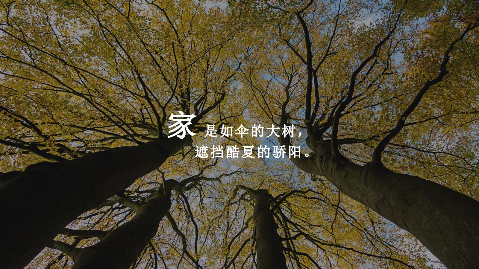 2022地产项目暖心交付（华彩启幕 归心龙庭主题）活动策划方案-53P.pptx_第3页