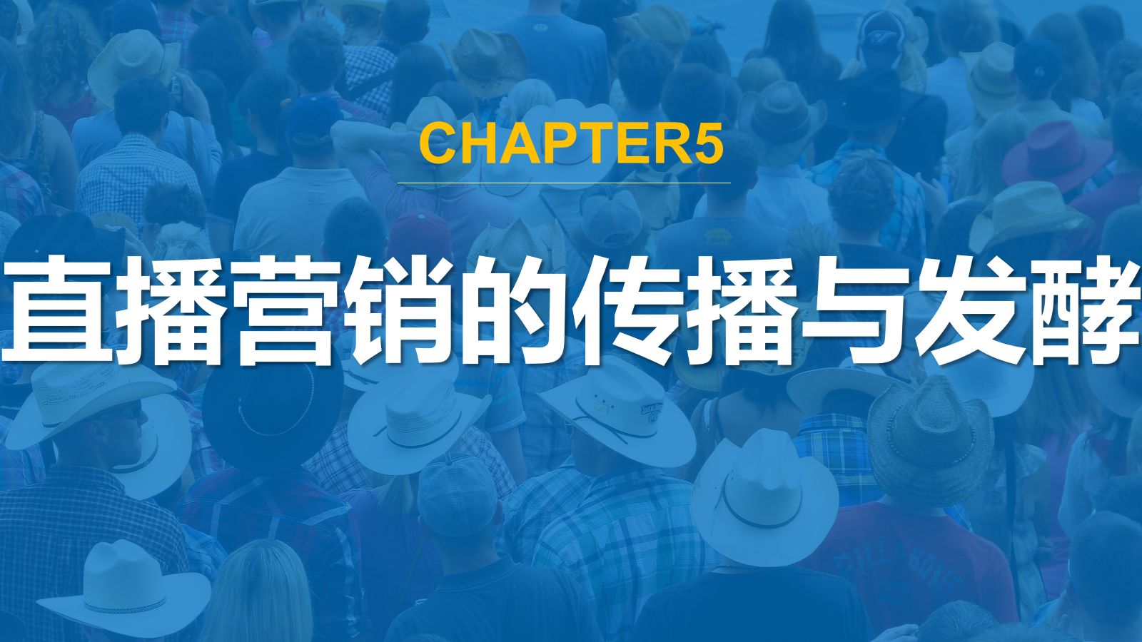直播营销课件-第五章直播营销的传播与发酵.pptx_第1页