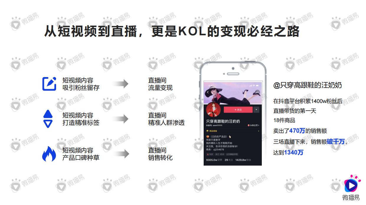 种草与带货的营销逻辑.pdf_第6页