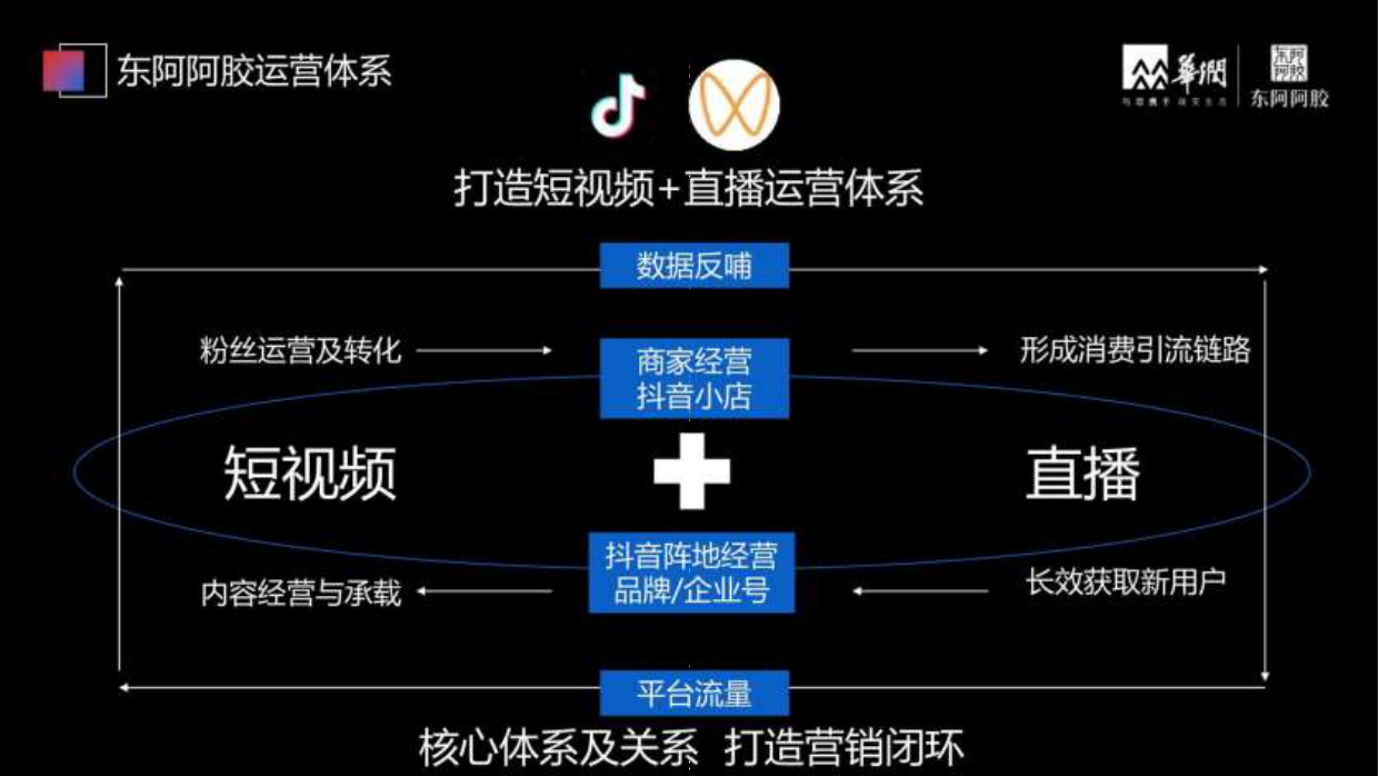 品牌策划丨东阿阿胶养生滋补品牌年度短视频运营规划方案.pdf_第8页