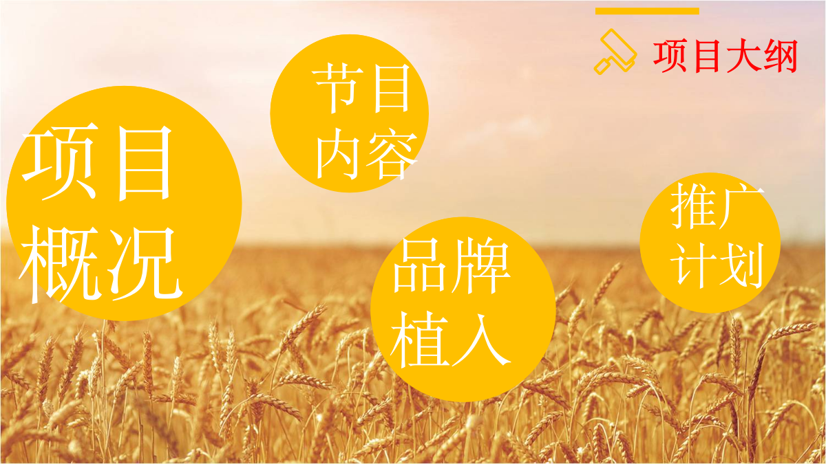 宾堡直播策划方案.pptx_第2页