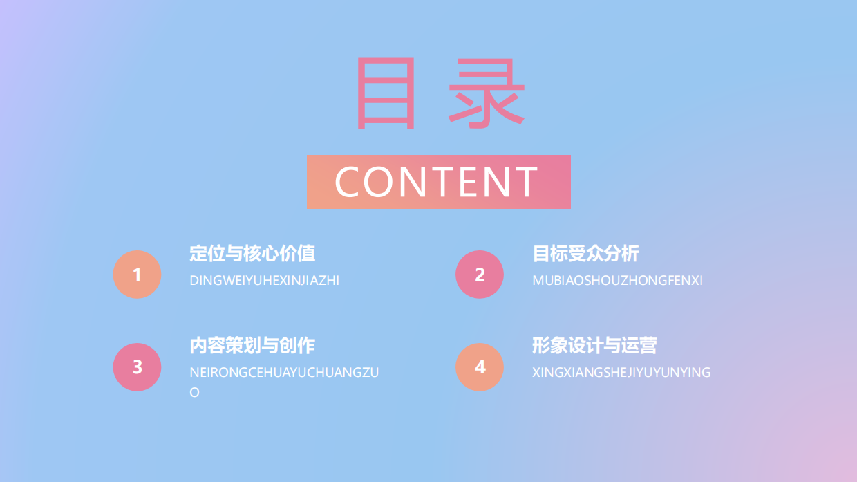 个人IP打造运营方案【新媒体运营】.pdf_第4页