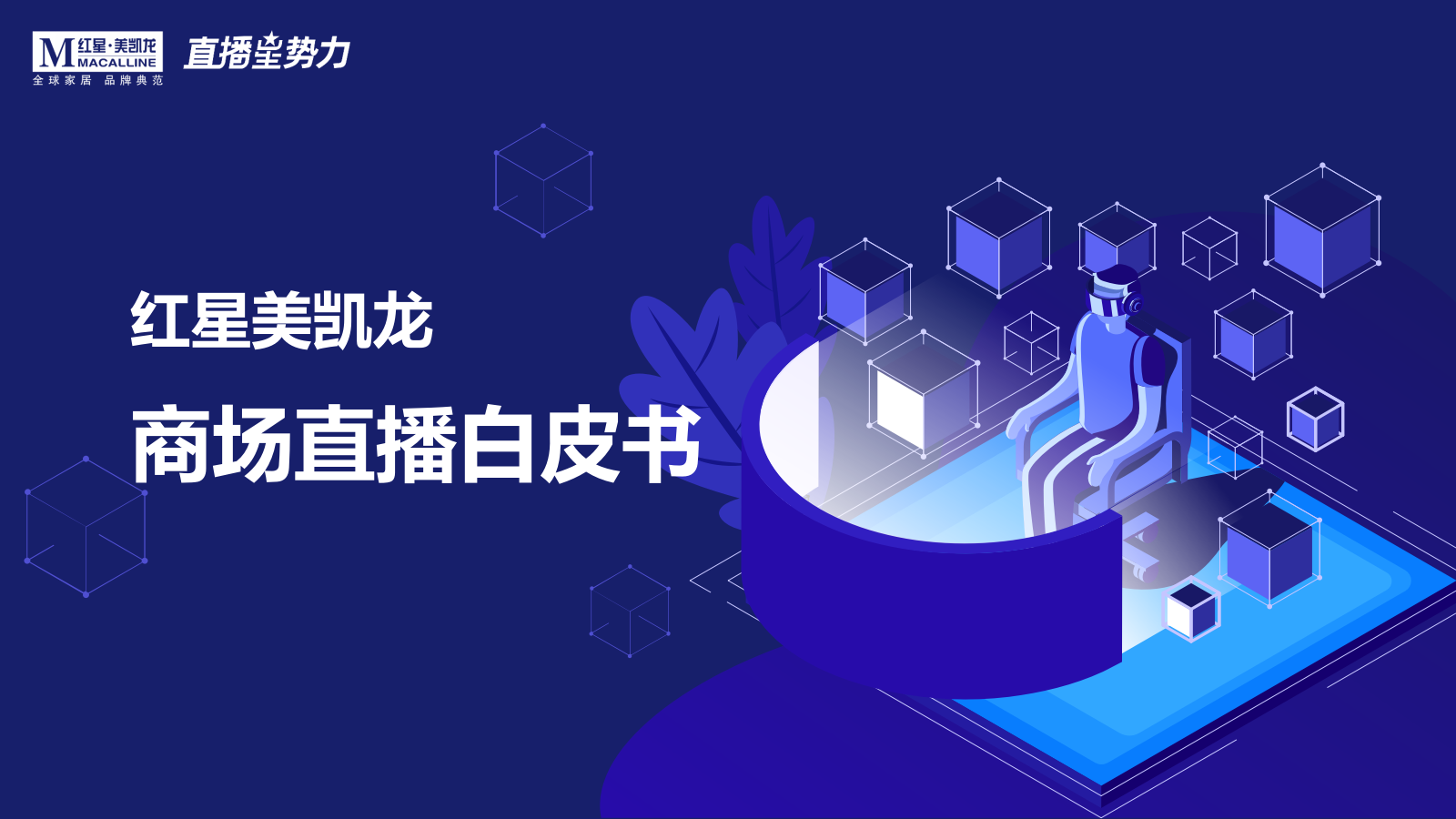 红星美凯龙商场直播白皮书.pptx