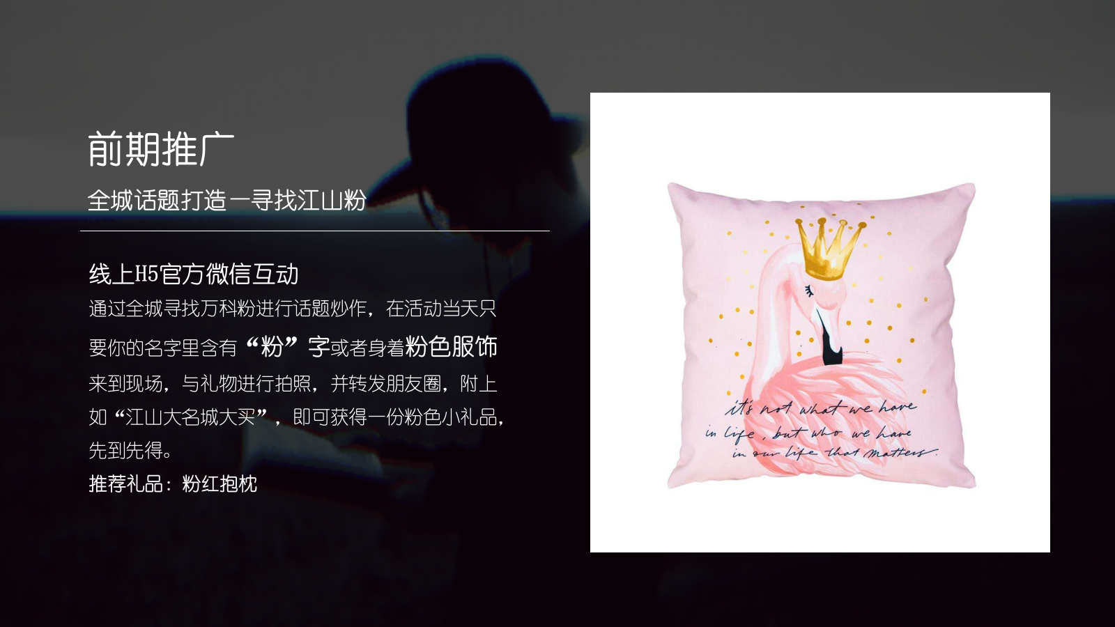 2019地产项目认筹启动会暨抖音网红节活动策划方案-28P.pptx_第4页