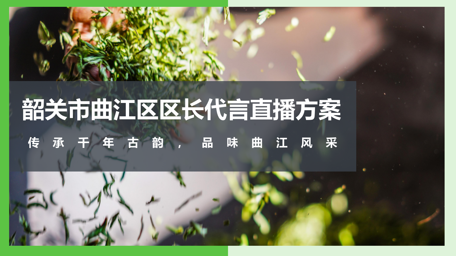 2020韶关区长代言直播活动策划方案.pptx_第1页