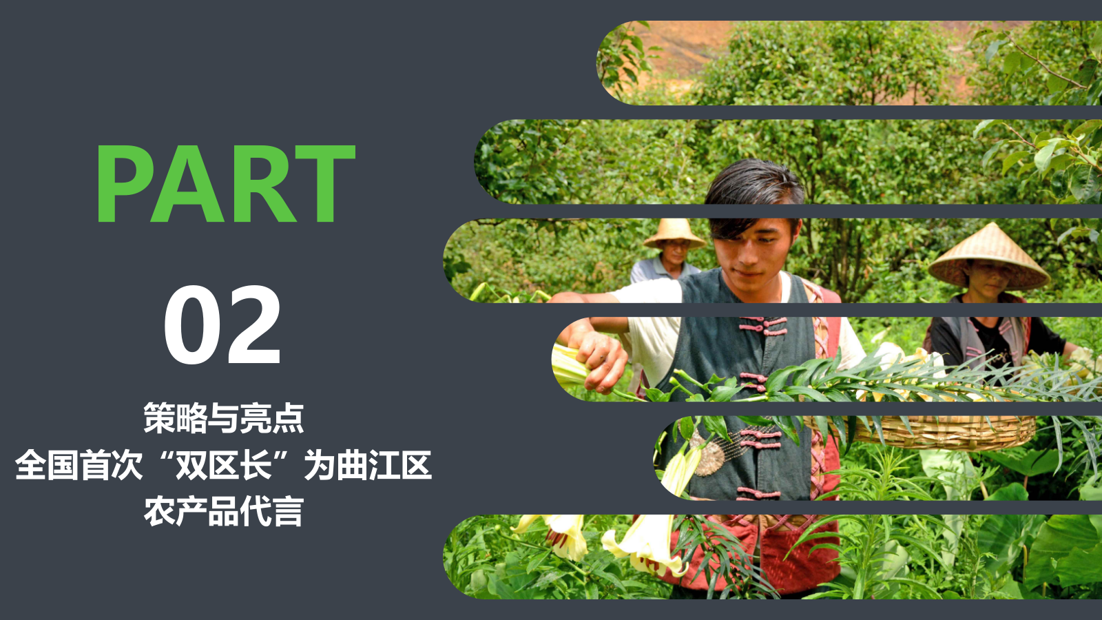 2020韶关区长代言直播活动策划方案.pptx_第5页