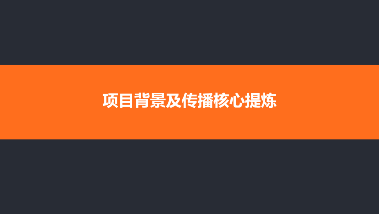 2024小米总裁卢伟冰直播首秀传播方案本.pdf_第3页