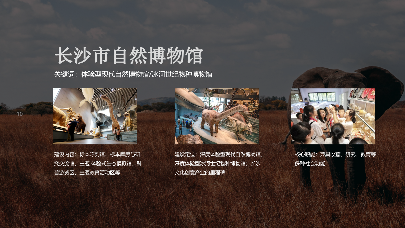 自然博物馆建设规划.pptx_第10页
