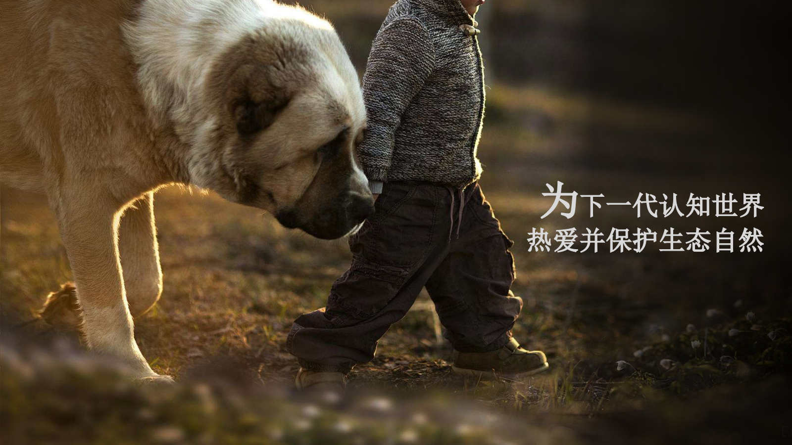 自然博物馆建设规划.pptx_第3页