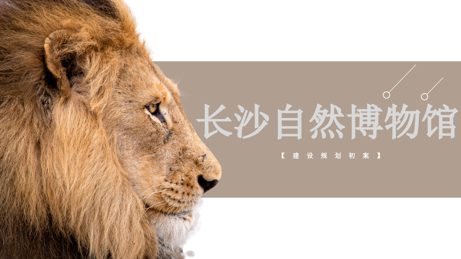 自然博物馆建设规划.pptx_第4页