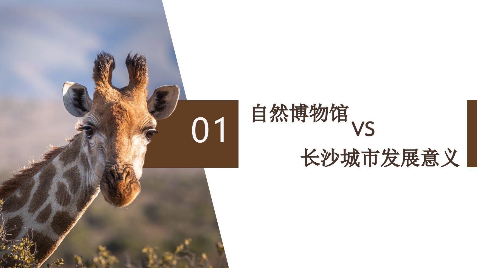 自然博物馆建设规划.pptx_第5页