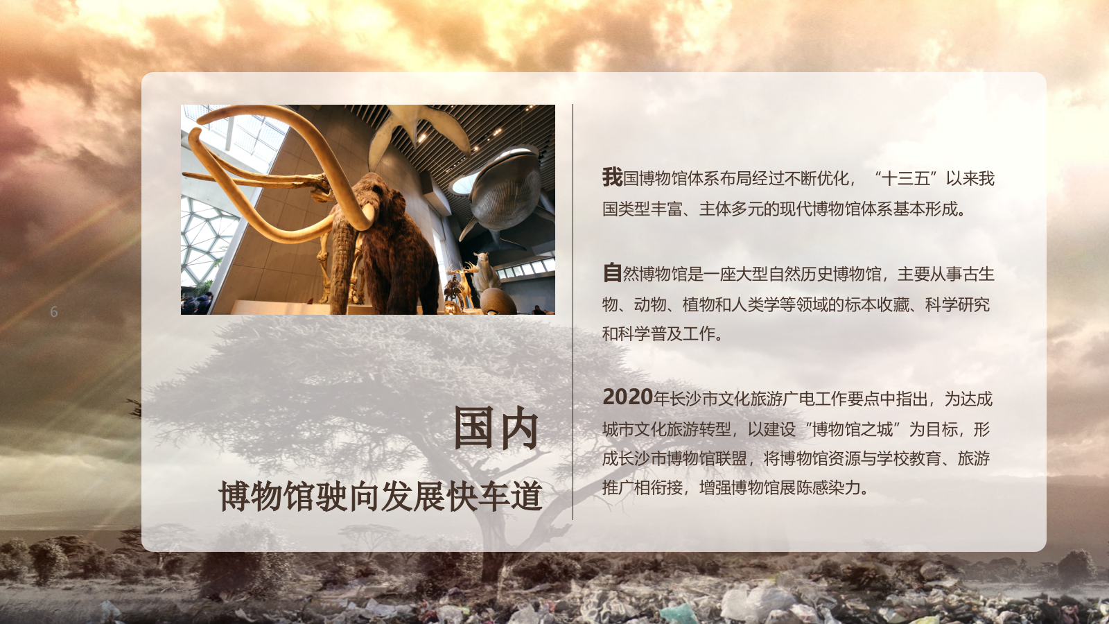 自然博物馆建设规划.pptx_第6页