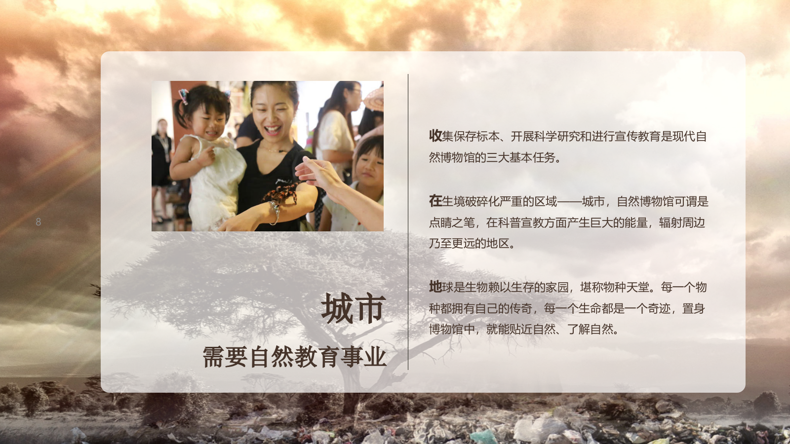 自然博物馆建设规划.pptx_第8页