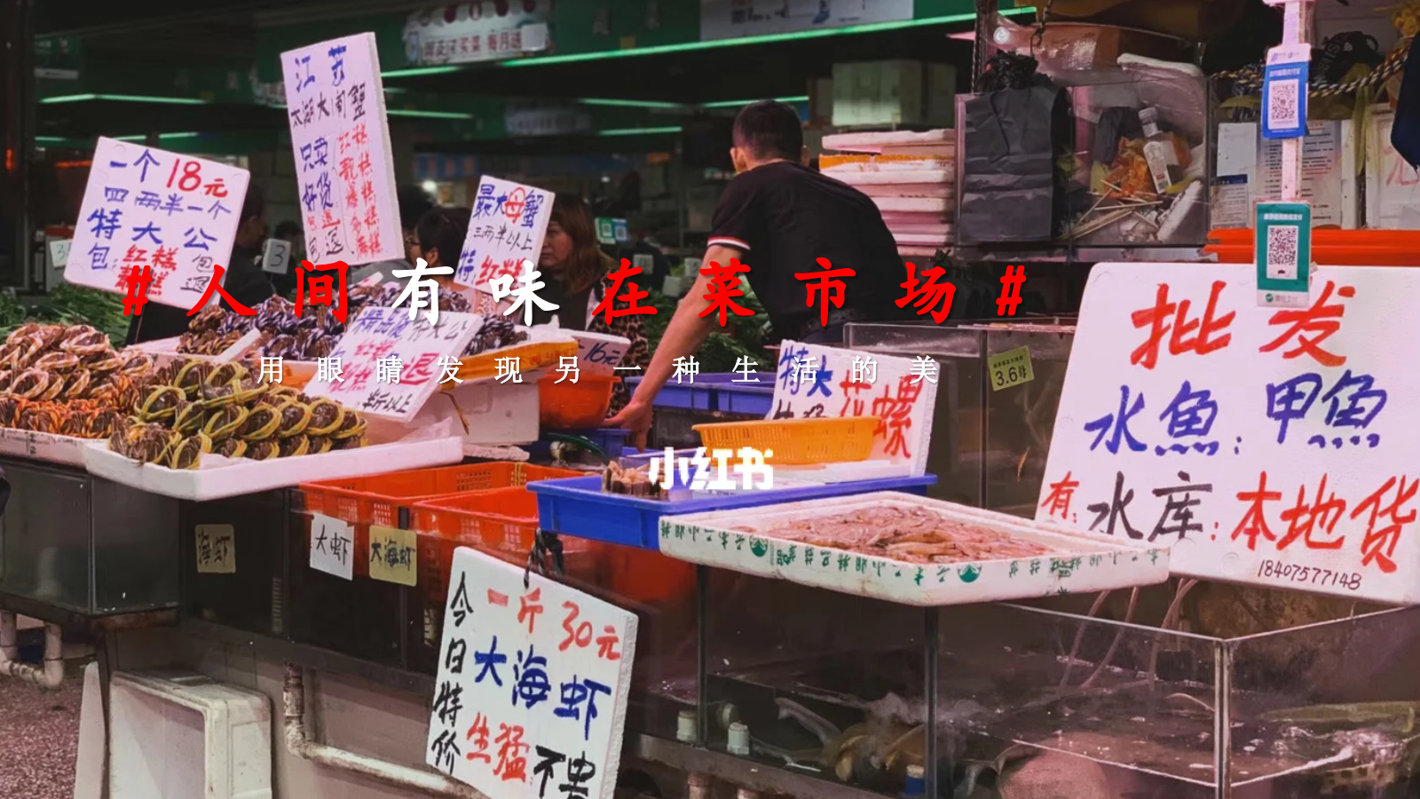 五一菜市场漫游文学展览指南主题活动策划案.pptx_第3页