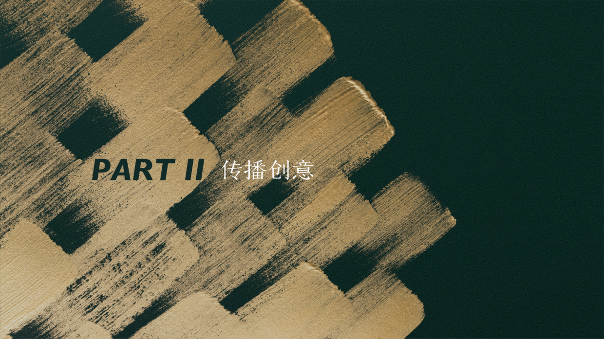 习酒君品文化巡游传播方案.pdf_第10页