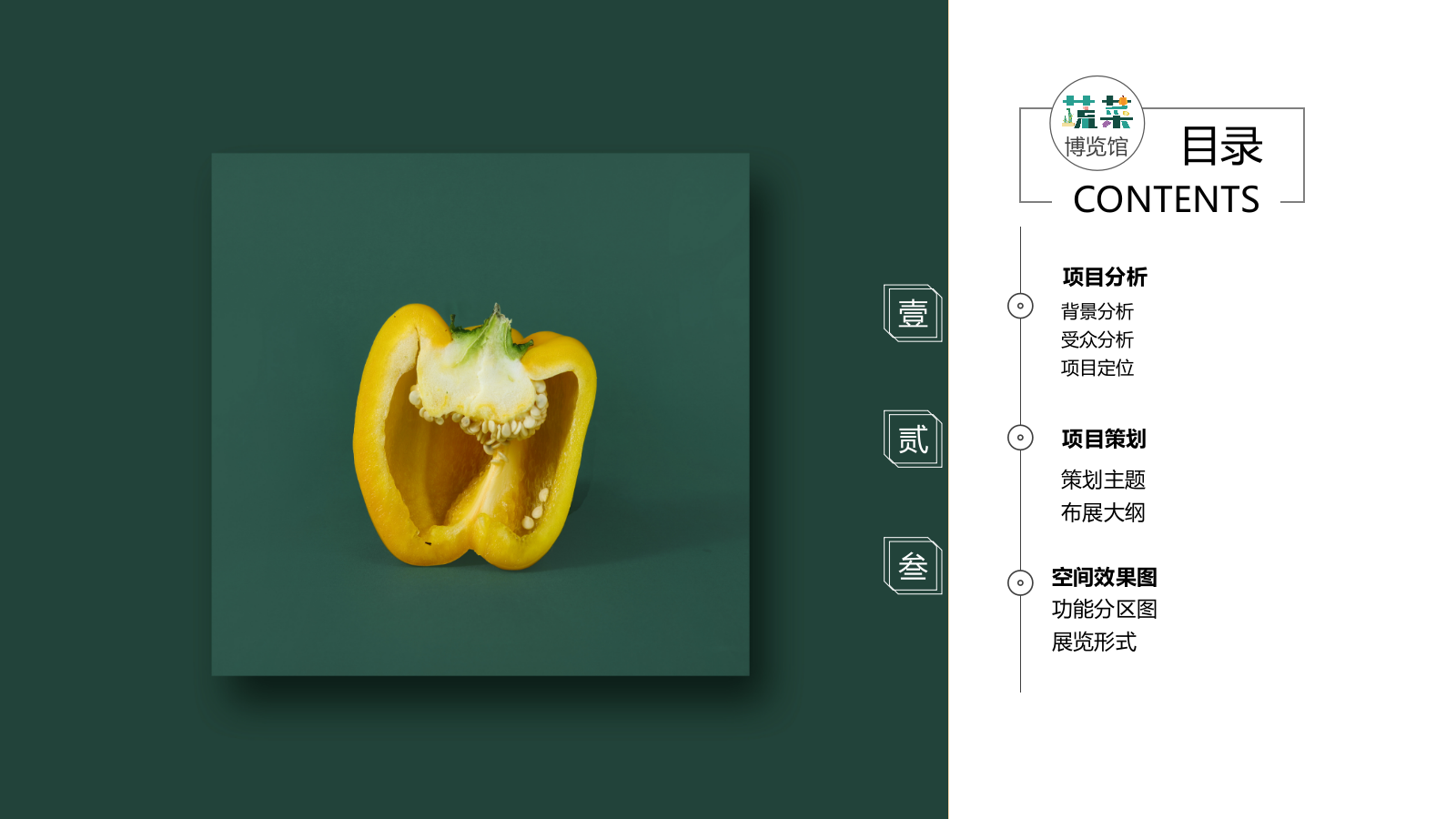 现代成都市彭州蔬菜博览馆方案文本.pptx_第2页