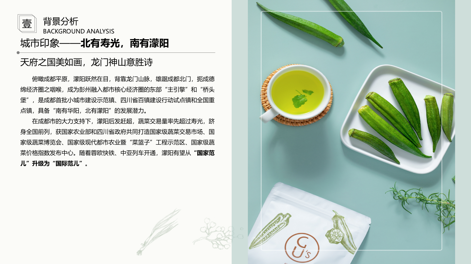 现代成都市彭州蔬菜博览馆方案文本.pptx_第4页