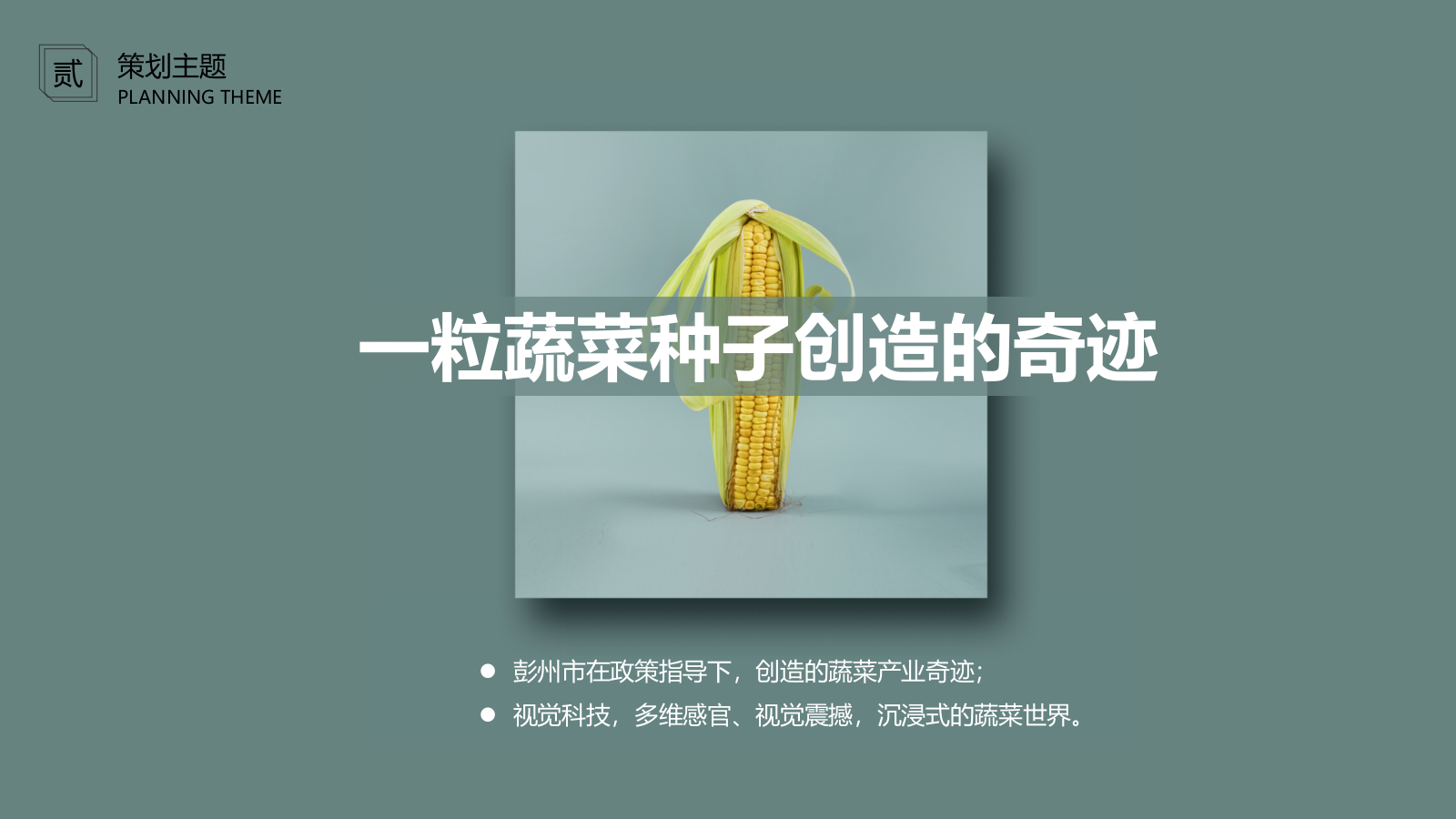 现代成都市彭州蔬菜博览馆方案文本.pptx_第8页