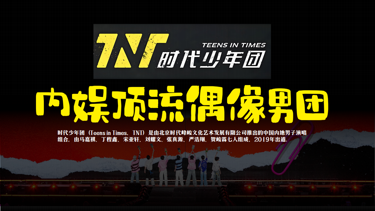 时代少年团B站生日会招商方案.pdf_第2页