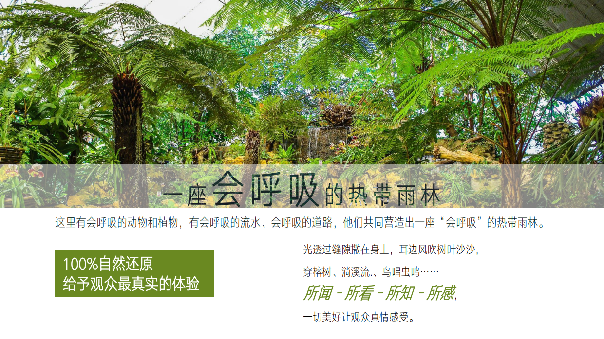 卡罗拉汽车品牌体验去撒野丛林秘境美陈主题展-65页.pdf_第10页