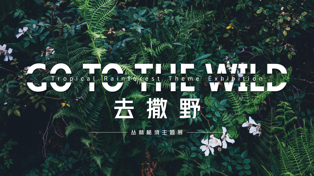 卡罗拉汽车品牌体验去撒野丛林秘境美陈主题展-65页.pdf_第2页