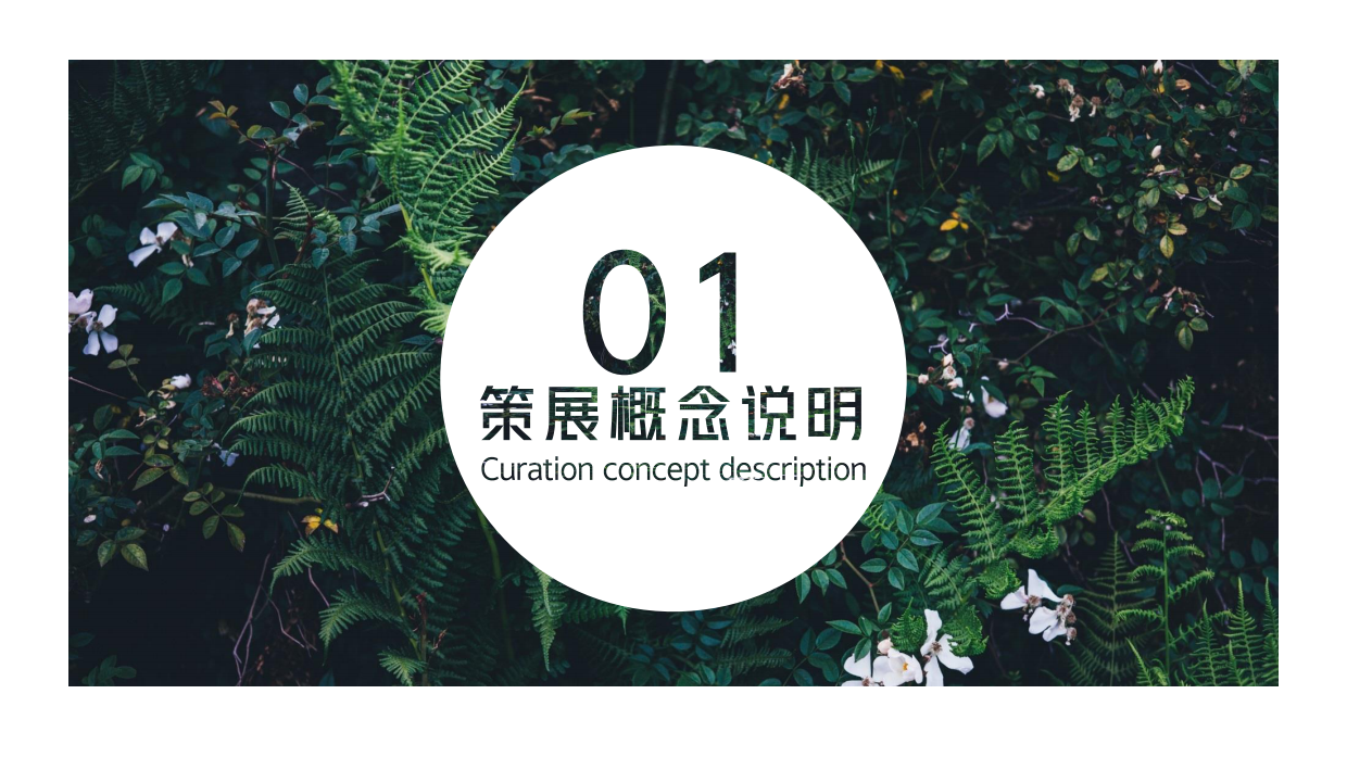 卡罗拉汽车品牌体验去撒野丛林秘境美陈主题展-65页.pdf_第4页