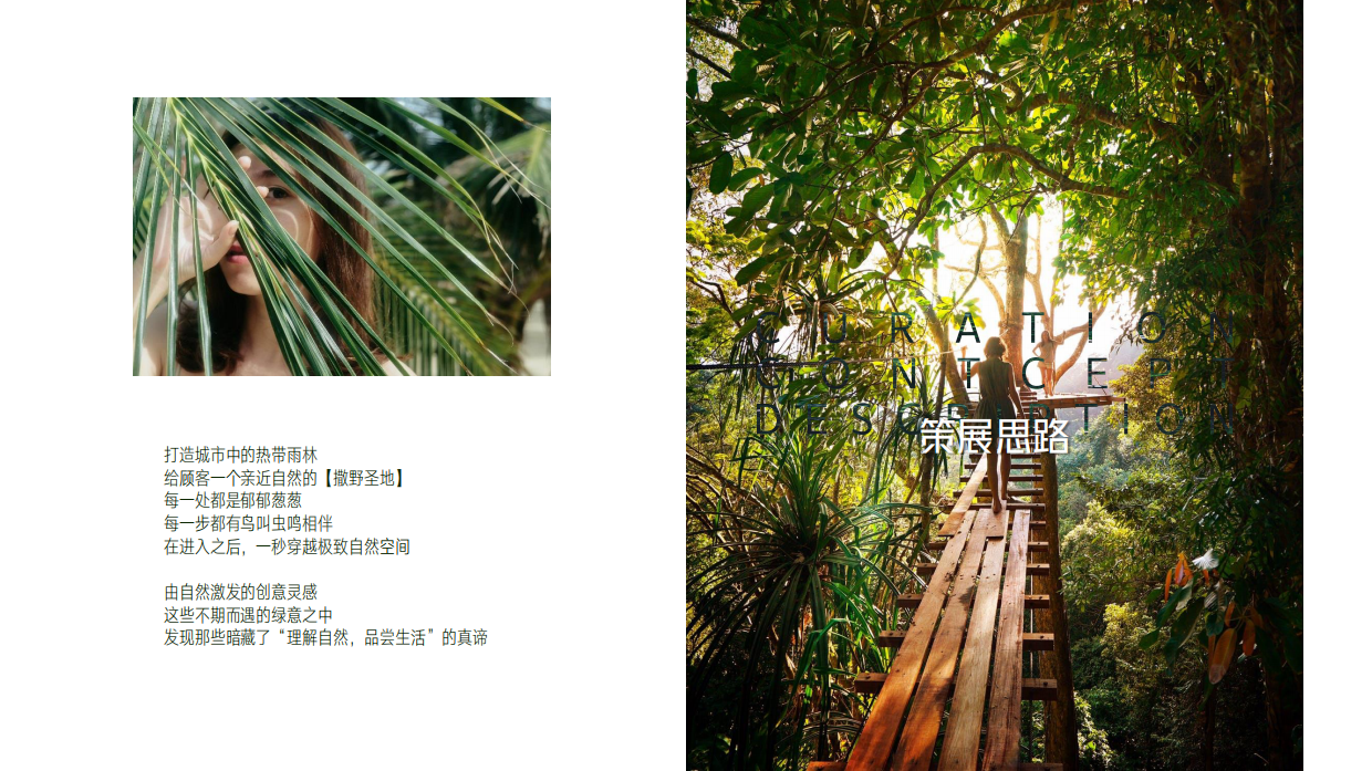 卡罗拉汽车品牌体验去撒野丛林秘境美陈主题展-65页.pdf_第6页