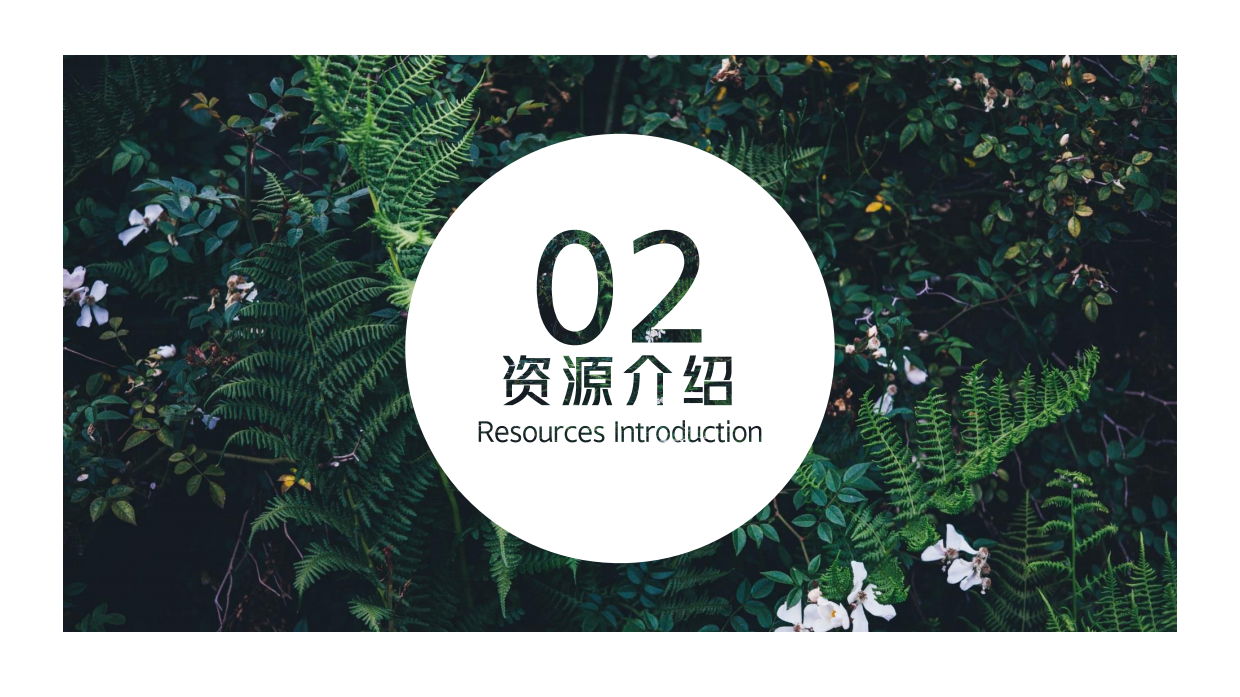 卡罗拉汽车品牌体验去撒野丛林秘境美陈主题展-65页.pdf_第7页