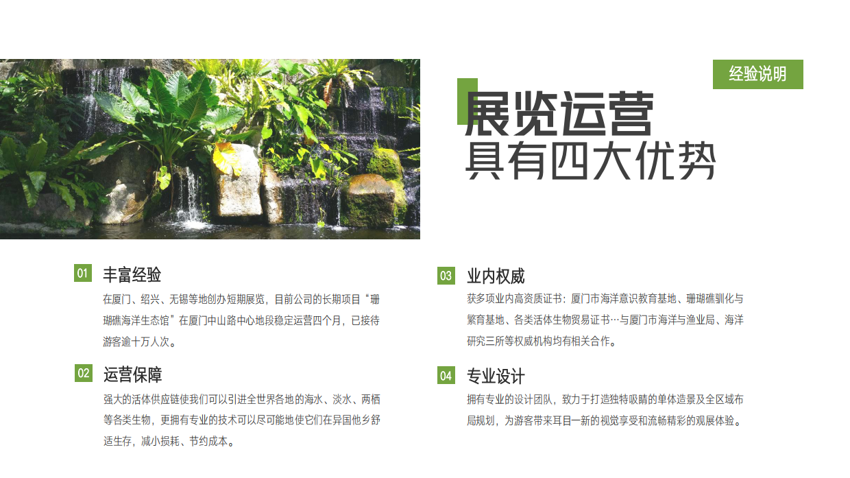 卡罗拉汽车品牌体验去撒野丛林秘境美陈主题展-65页.pdf_第8页