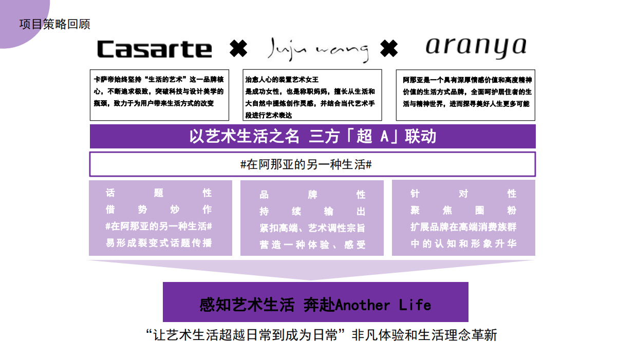 卡萨帝跨界艺术空间营销方案.pdf_第5页