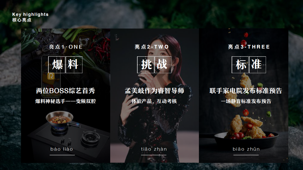 老板变频双腔烟灶套装京东上市发布会规划 V5.pdf_第9页