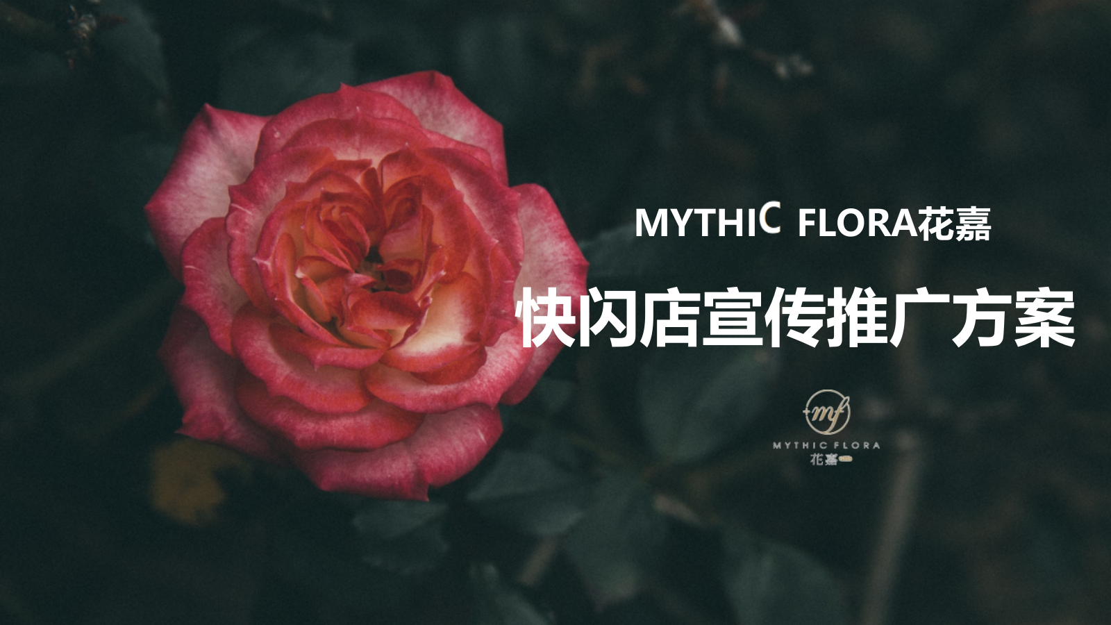 美妆护肤快闪店搭建及宣传方案.pptx