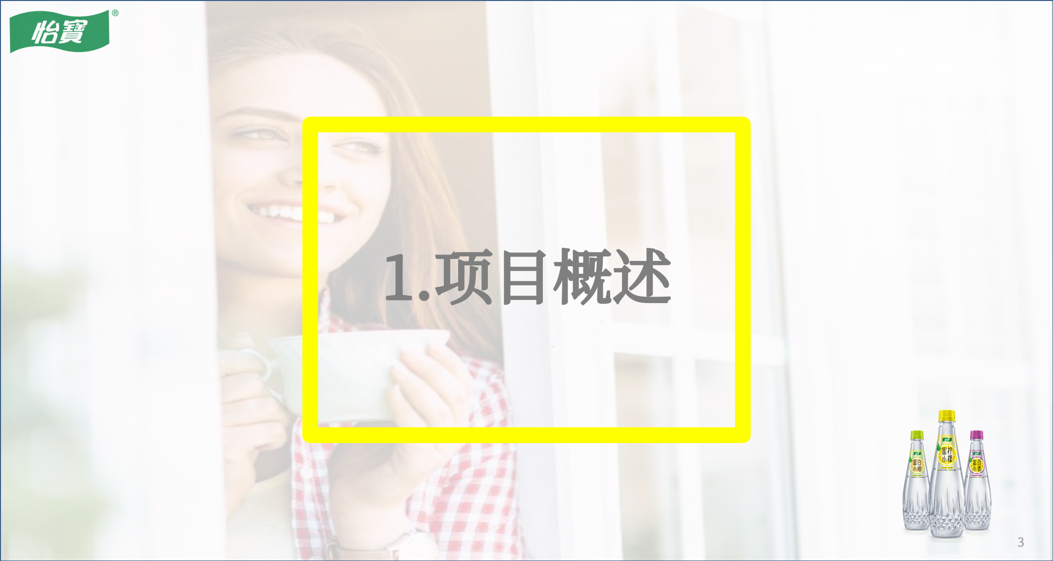 蜜水柠檬新品线下活动执行方案.pptx_第3页