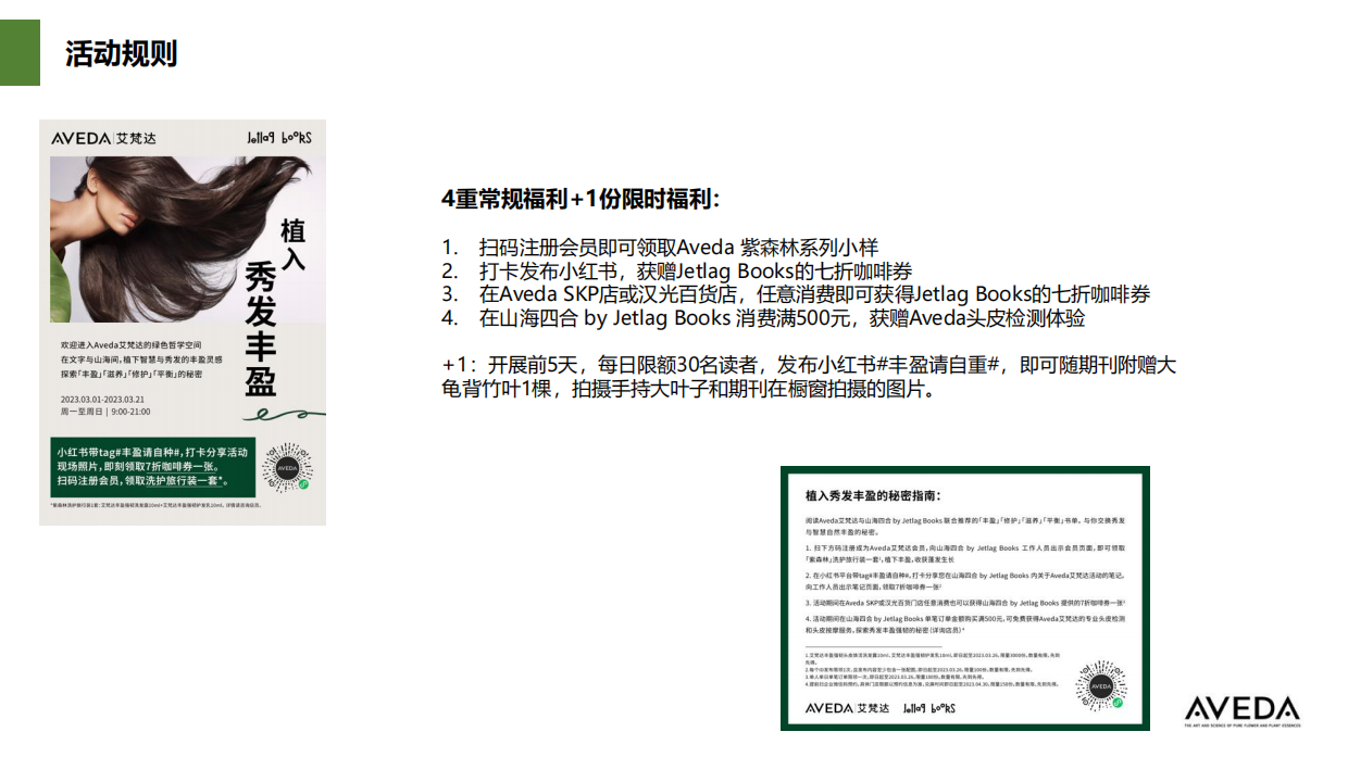 Aveda Jetlag KOL briefing book.pdf_第8页