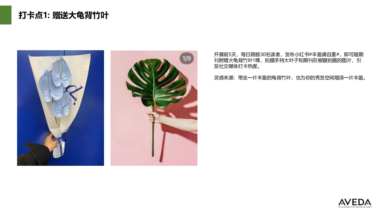 Aveda Jetlag KOL briefing book.pdf_第9页